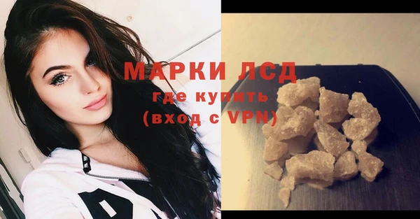 сатива Армянск