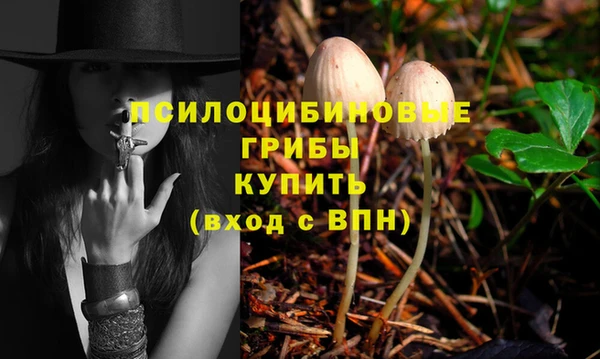 сатива Армянск