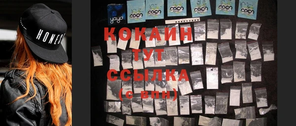 сатива Армянск