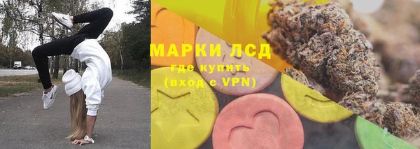 сатива Армянск