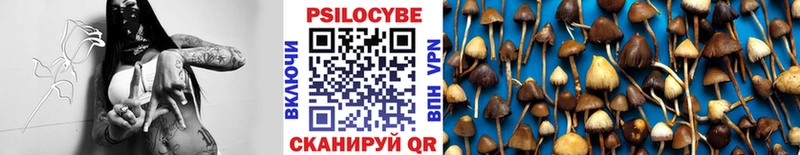 закладки  KRAKEN ссылка  Галлюциногенные грибы мухоморы  Балей 